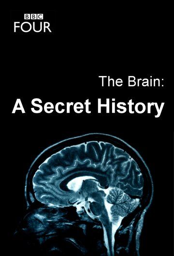 The Brain: A Secret History